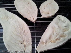 salt dough leaf prints