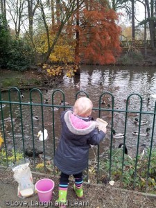 Ducks! Bruntwood park