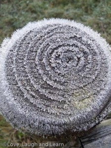 Frosty fence