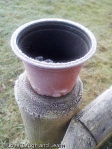 Frosty Pot