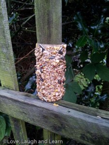 Home Made Bird Feeders