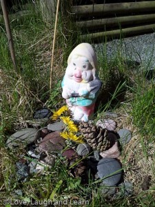 Gnome Garden