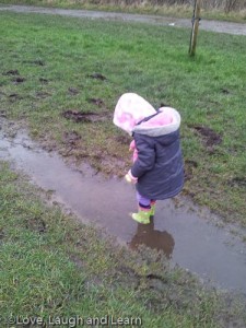 Reddish Vale Puddles